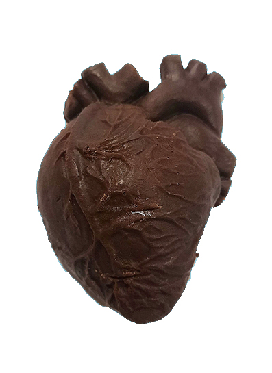 équipe